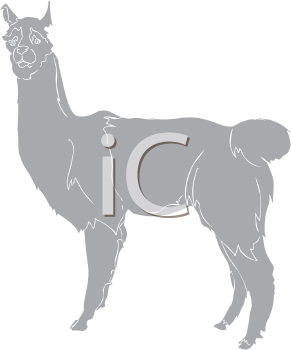 Llama Clipart