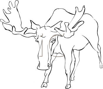 Moose Clipart