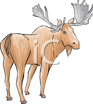 Moose Clipart