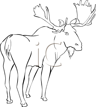 Moose Clipart