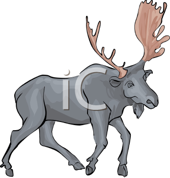Moose Clipart