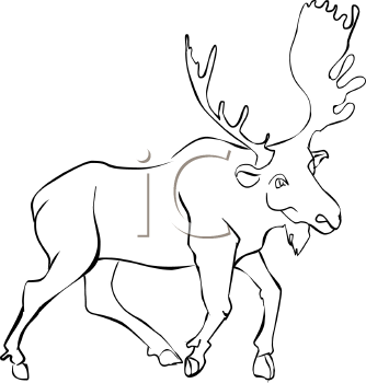 Moose Clipart