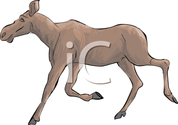 Moose Clipart