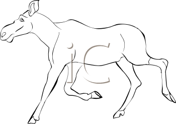 Moose Clipart