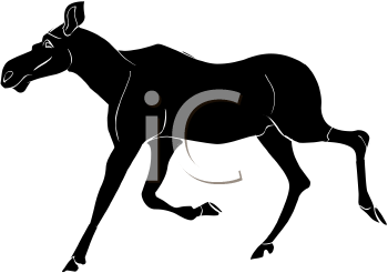 Moose Clipart