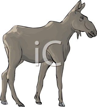 Moose Clipart