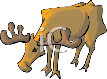 Moose Clipart