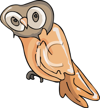 Owl Clipart