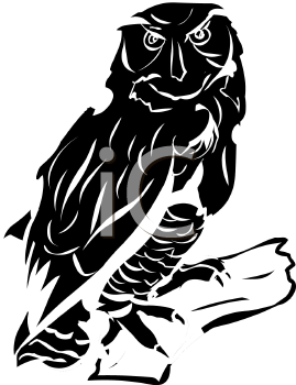 Owl Clipart