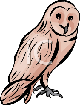 Owl Clipart