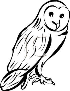 Owl Clipart