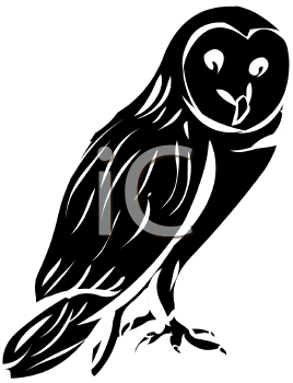 Owl Clipart