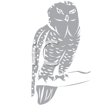Owl Clipart