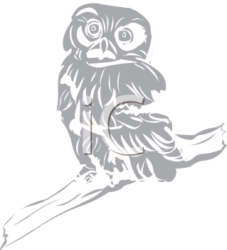 Owl Clipart