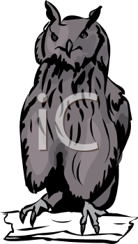 Owl Clipart