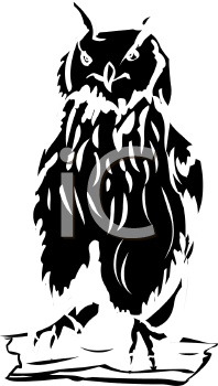 Owl Clipart