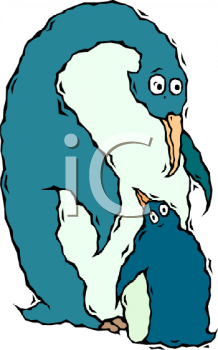 Penguin Clipart