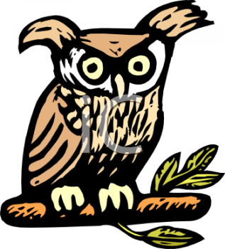 Owl Clipart