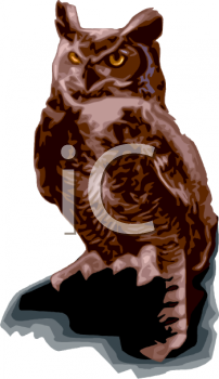 Owl Clipart