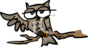 Owl Clipart