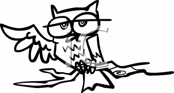 Owl Clipart