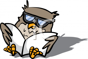 Owl Clipart