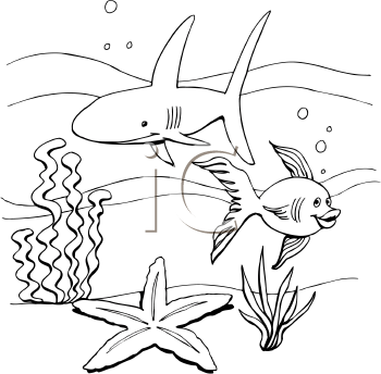Shark Clipart