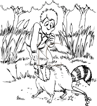 Raccoon Clipart