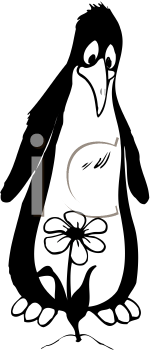 Penguin Clipart