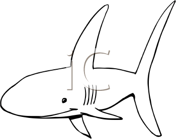 Shark Clipart