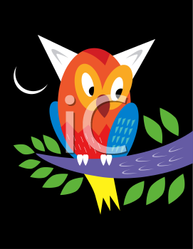 Owl Clipart