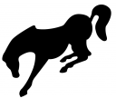 Stallion Clipart