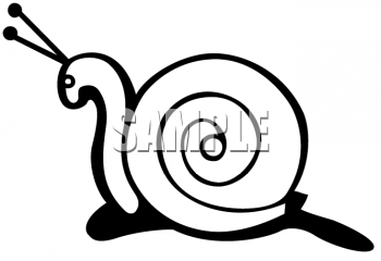 Snail Clipart