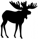 Moose Clipart