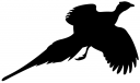 Pheasant Clipart