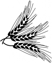 Cereal Clipart