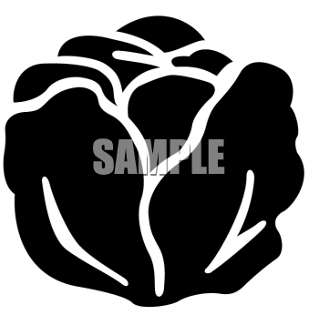 Salad Clipart