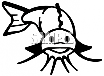 Catfish Clipart