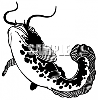 Catfish Clipart