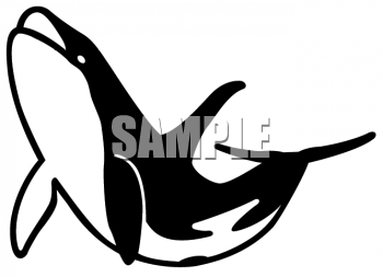 Whale Clipart