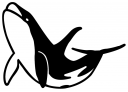 Whale Clipart