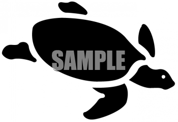 Turtle Clipart