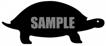 Turtle Clipart