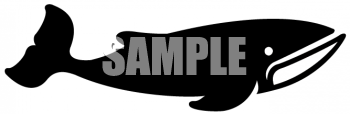 Whale Clipart