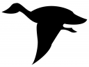Geese Clipart