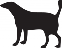Pet Clipart