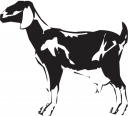 Goat Clipart