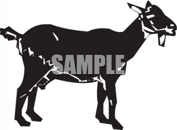 Goat Clipart