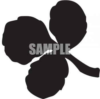 St Patricks Day Clipart