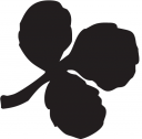 St Patricks Day Clipart